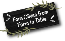 fora zeytin kirma yeşil zeytin