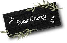 fora zeytin kirma yeşil zeytin