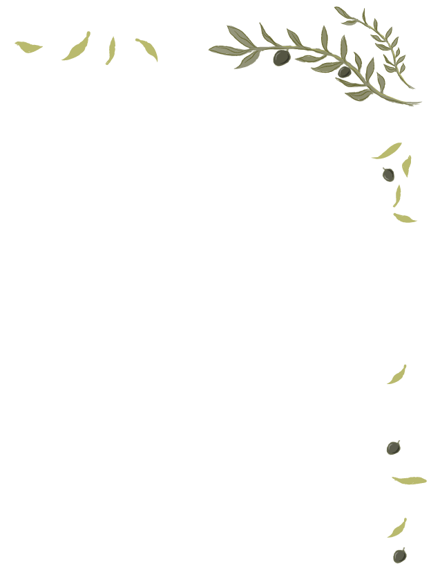 fora zeytin yaprakları