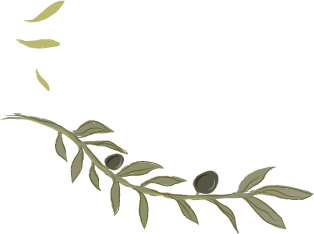 fora zeytin yaprakları