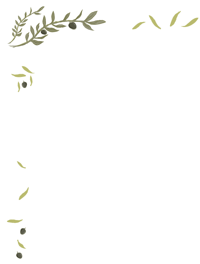 fora zeytin yaprakları