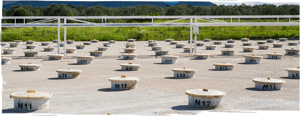 fora zeytin üretim banner