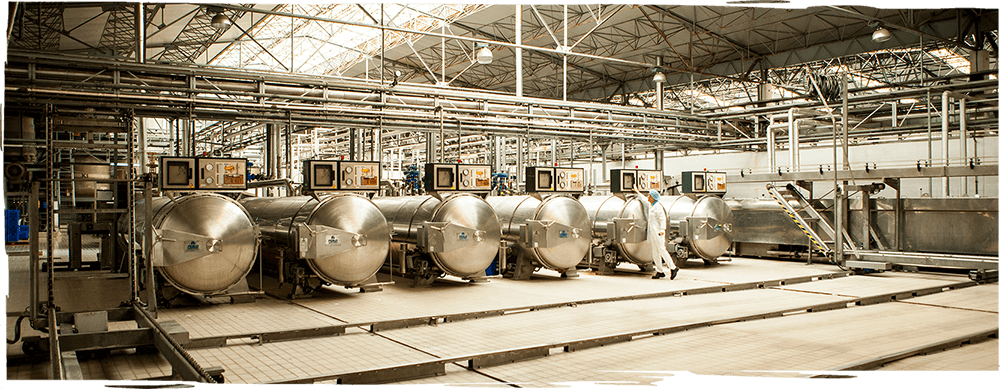 fora zeytin üretim banner