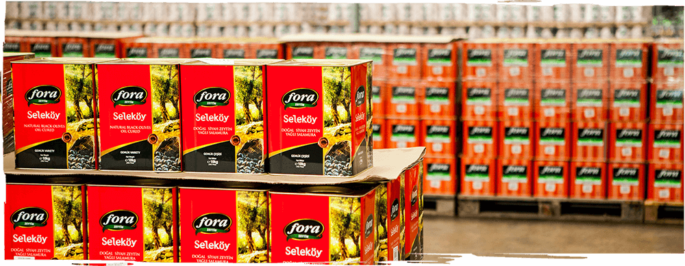 fora zeytin üretim banner