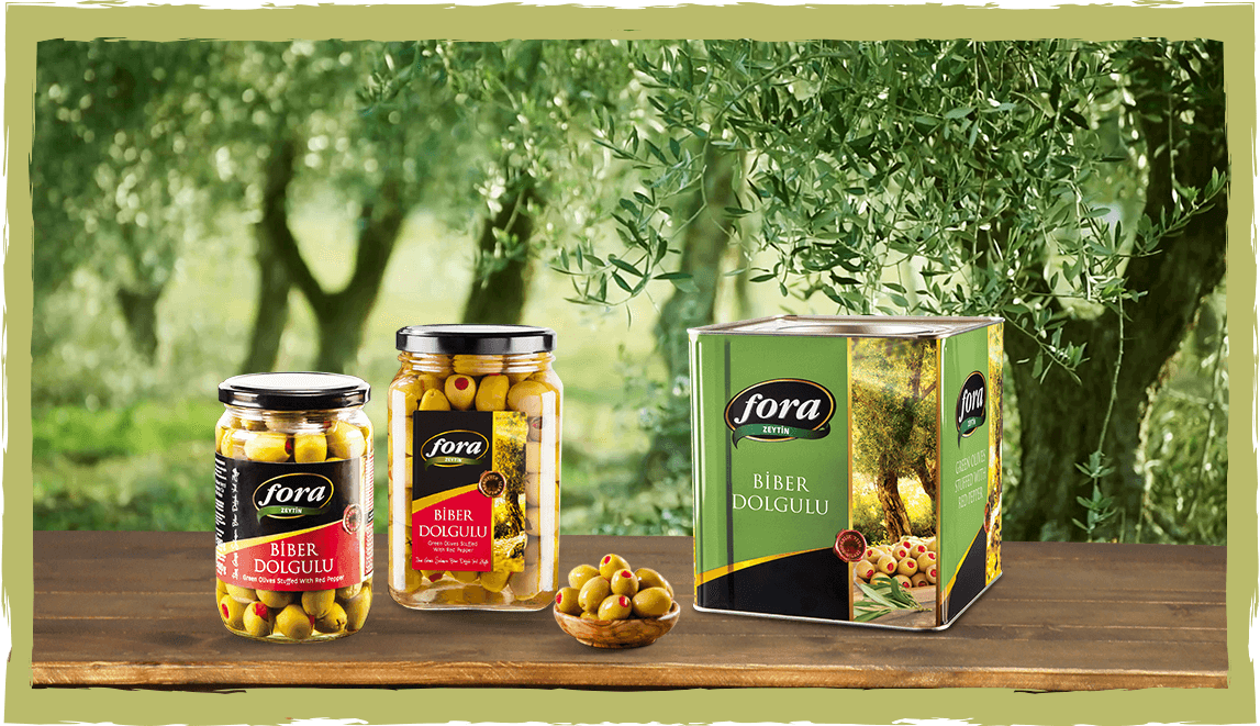 fora gemlik çesidi ürünler banner