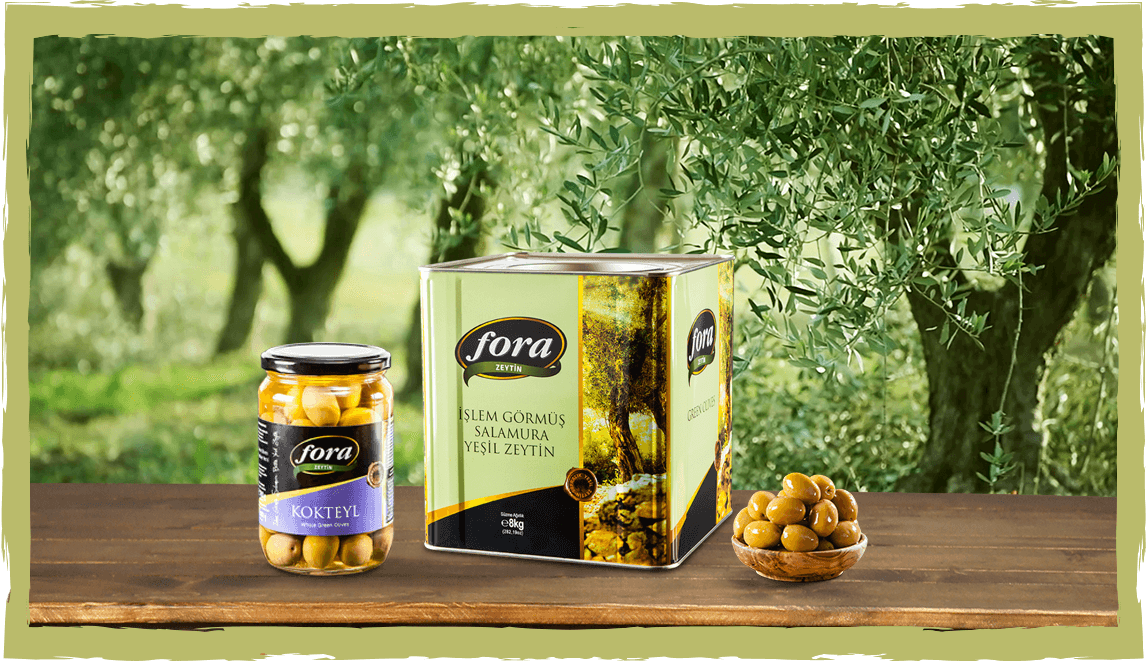 fora gemlik çesidi ürünler banner