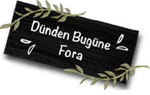 fora zeytin akdeniz diyeti