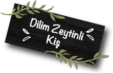 fora zeytin akdeniz diyeti