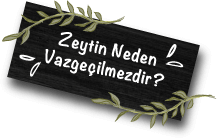 fora zeytin zeytinyağlı nasıl muhafaza edilmelidir
