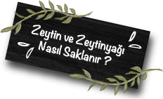 fora zeytin neden fora zeytin
