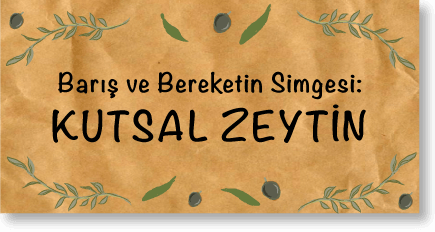 fora zeytin seninde bir zeytin ağacın olsun