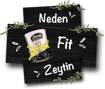 fora zeytin sıkça sorulan sorular