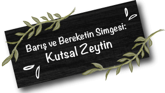 fora ürün fotoğrafları