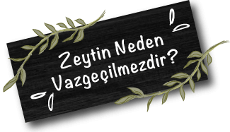 fora ürün fotoğrafları