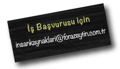 fora zeytin iş başvurusu