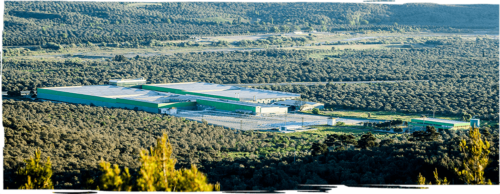 fora zeytin üretim banner