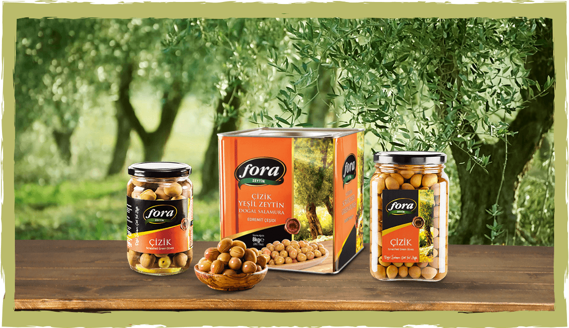 fora gemlik çesidi ürünler banner