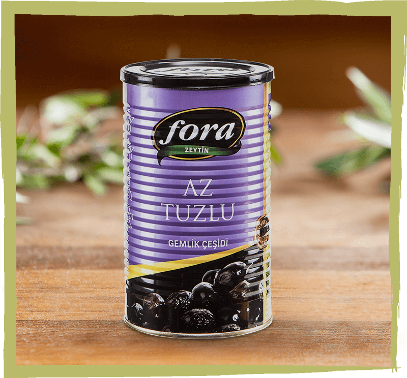 fora zeytin az tuzlu